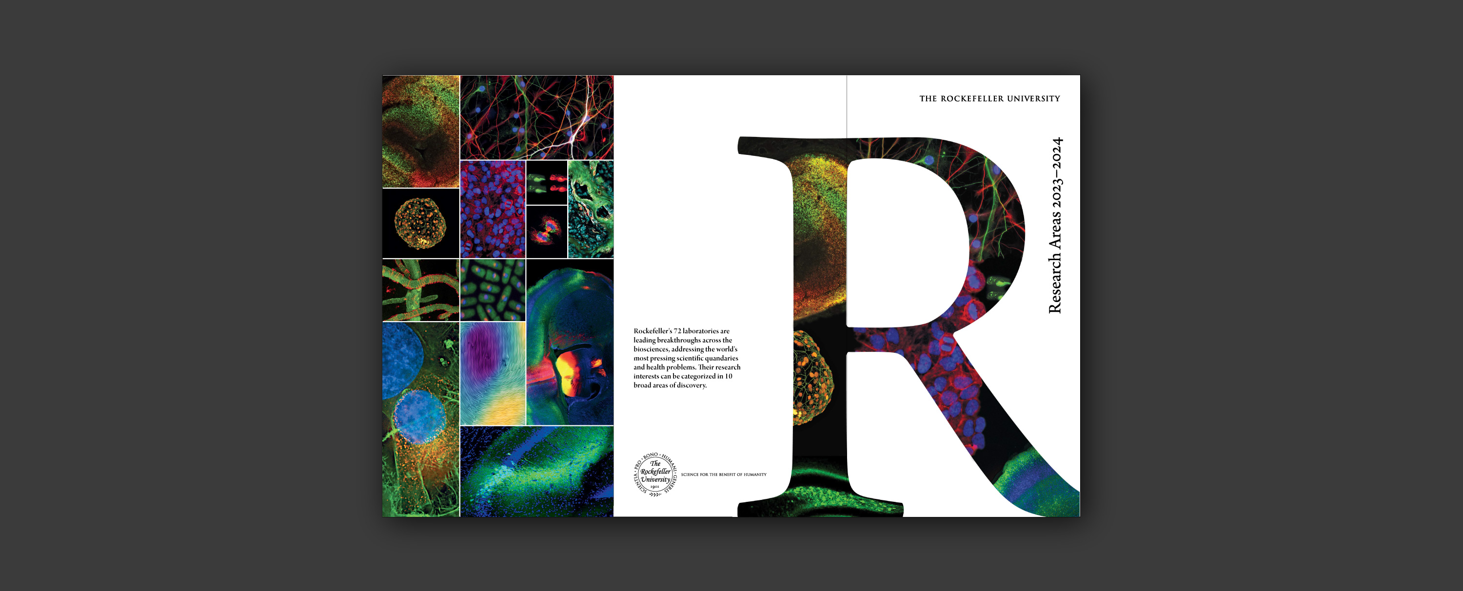 brochure trifold cover with large R masking different scientific images