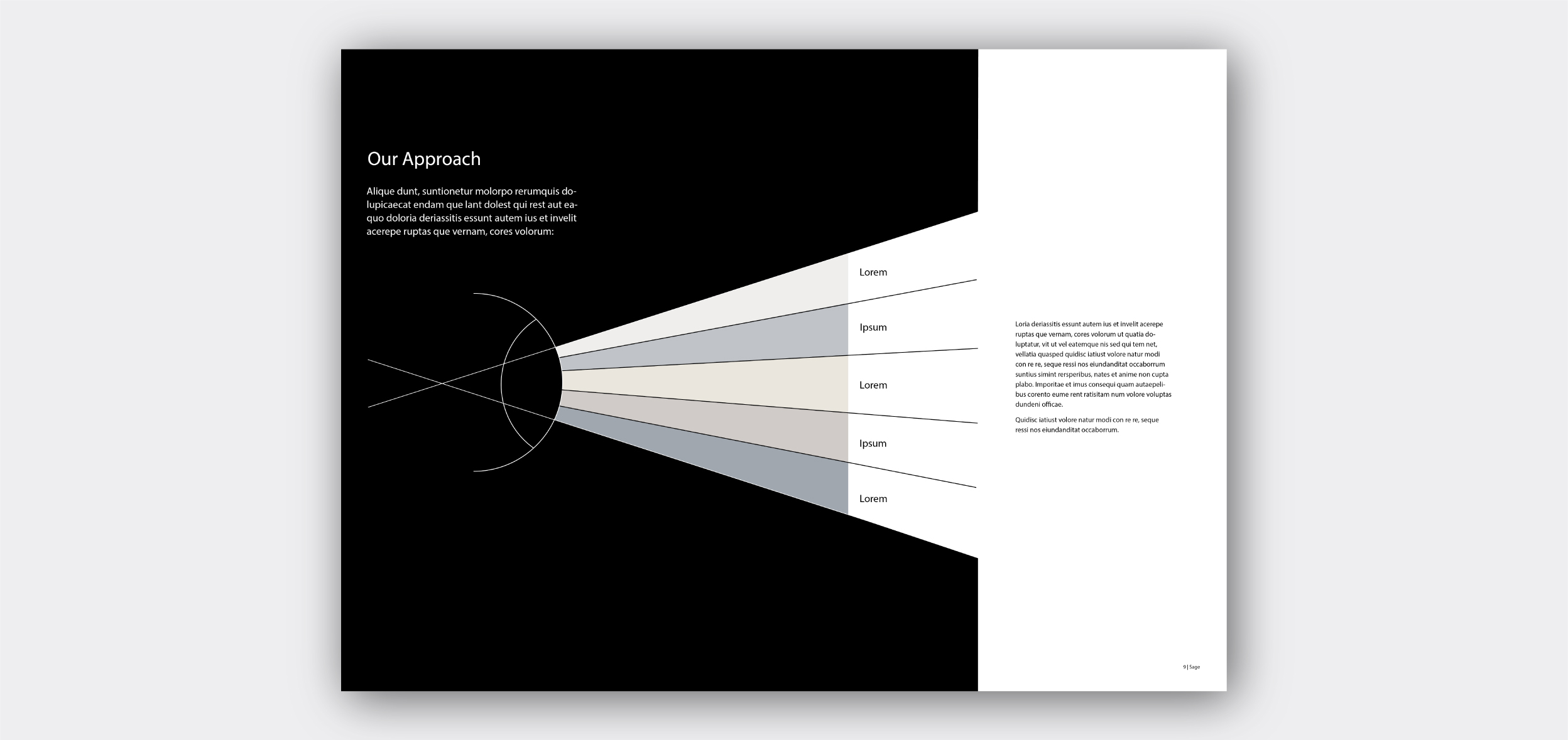infographic diagram of sage's approach 